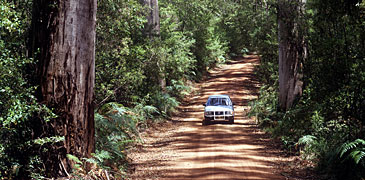 Unbranded 3 Day Kakadu   Katherine