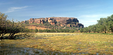 Unbranded 3 Day Kakadu   Litchfield