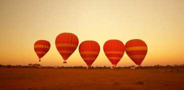 flight fly balloon outback macdonnell range ranges gondola hot-air kangaroo kangaroos spinifex grass