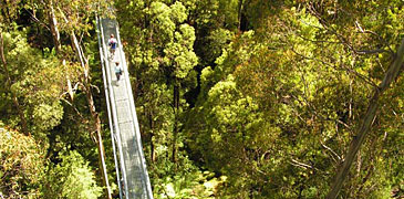 tree top walk margaret river stirling range porongurup national park parks albany the gap natural br