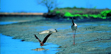 Unbranded 4 Day Top End   Arnhem Land