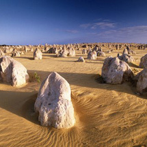 Unbranded 4WD Pinnacles, Koalas and Sandboarding Adventure