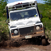 Unbranded 4x4 Island Safari and Stingray City - Adult