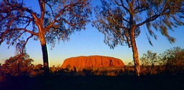 Unbranded 6 Day ``Plus Bus`` Adelaide to Alice Springs