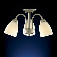 Unbranded 6193 3 - Satin Silver Ceiling Light