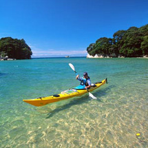 Abel Tasman Kayak, Seals and Walk Tour - Adult