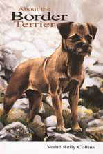 About the Border Terrier