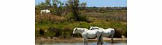 Unbranded Abri de Camargue