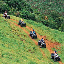 Adventure in Paradise - Shared Quad Bike Per Person