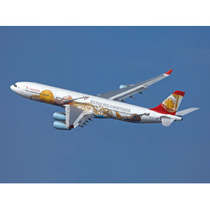 Unbranded Airbus A340 Vienna Philharmonics Plastic Kit