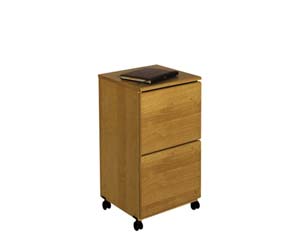 2 drawer mobile storage cabinet . Full extension metal drawer slides. Rolls easily on sturdy