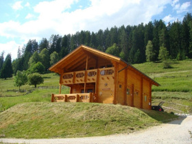 Unbranded Austrian Alps summer chalet in Muhlbach