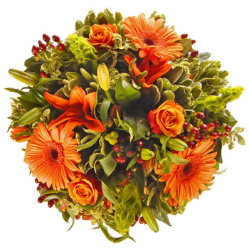 Unbranded Autumn Orange - flowers