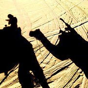 Enjoy a peaceful camel ride through the stunning Uluru - Kata Tjuta National Park as the sun sets ov