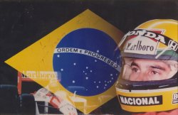 signed senna photo