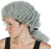 Barrister Wig Grey