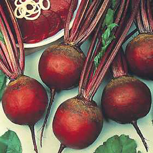 Unbranded Beetroot Detroit 6 Rubidus Seeds