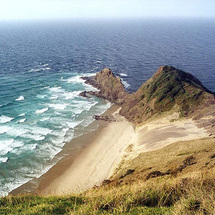 Unbranded Cape Reinga Wanderer Tour - Adult