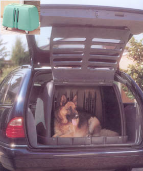 Car Kennel - Balto