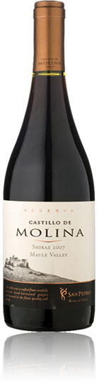 Unbranded Castillo de Molina Shiraz 2008 Maule Valley