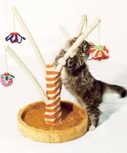 Cat Scratching Tree