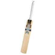 Unbranded Catalyst Cricket Bat Adult