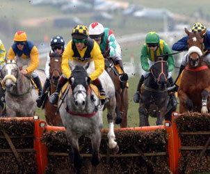 Unbranded Cheltenham National Hunt Festival