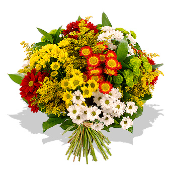 Unbranded Chrysanthemum Bouquet - flowers