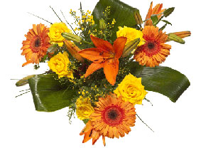 Unbranded Citrus Burst Bouquet