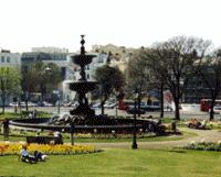 City Sightseeing Brighton Tour Senior/Student