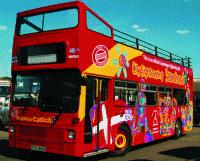 Unbranded City Sightseeing Copenhagen Mermaid Tour Child