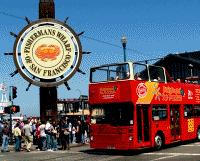 City Sightseeing Golden Gate Loop Adult Ticket