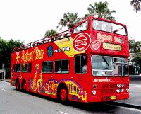 City Sightseeing Sydney & Bondi Beach Tour Adult