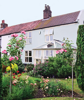 Unbranded Cobweb Cottage