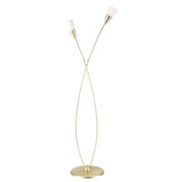 Como 2 Light Floor Lamp Satin Brass Finish