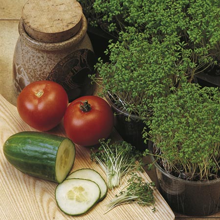 Unbranded Cress Extra Double Curled - 120g 120g (36 punnets)