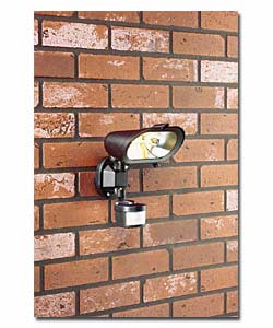 Dark Skies 300 Watt Floodlight with PIR