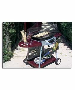 Deluxe Twin Burner Gas BBQ