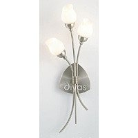 Unbranded DIIL10000 - Satin Chrome Wall Light