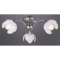 Unbranded DIIL40004 - Polished Chrome Ceiling Light