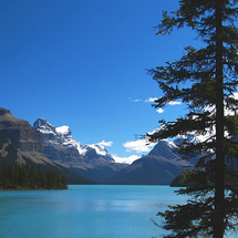 Discover Jasper and Maligne Lake Cruise - Adult