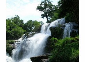 Unbranded Doi Intanon National Park - Child