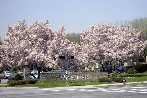 Unbranded Doubletree Hotel Tarrytown