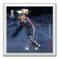 ECB Dynamic Action Print - Freddie Flintoff - 2008 Season - 12x12inch.