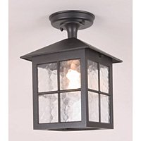 Unbranded ELBL18A - Black Outdoor Ceiling Light