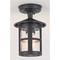 Unbranded ELBL21A - Black Outdoor Ceiling Light