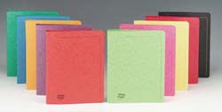 Europa Ring Binder A4 Asst C pk10 3157