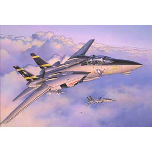 Unbranded F-14A Tomcat plastic kit 1:72