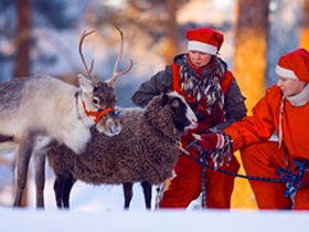 Unbranded Family Christmas holiday in Lapland, Finland