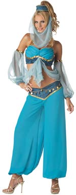 Unbranded Fancy Dress - Adult Elite Quality Harem` Jewel Costume